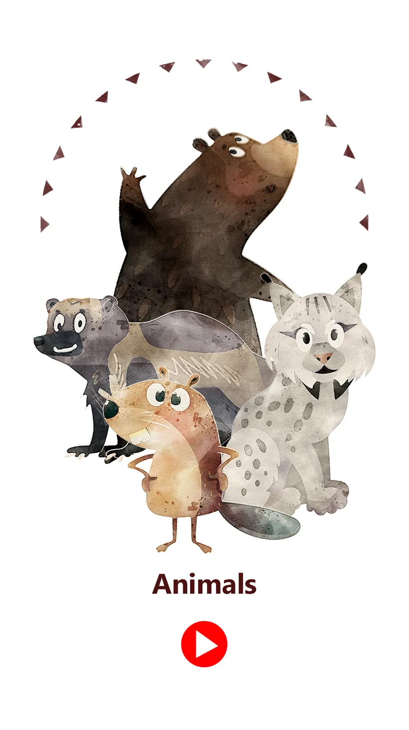 Animals