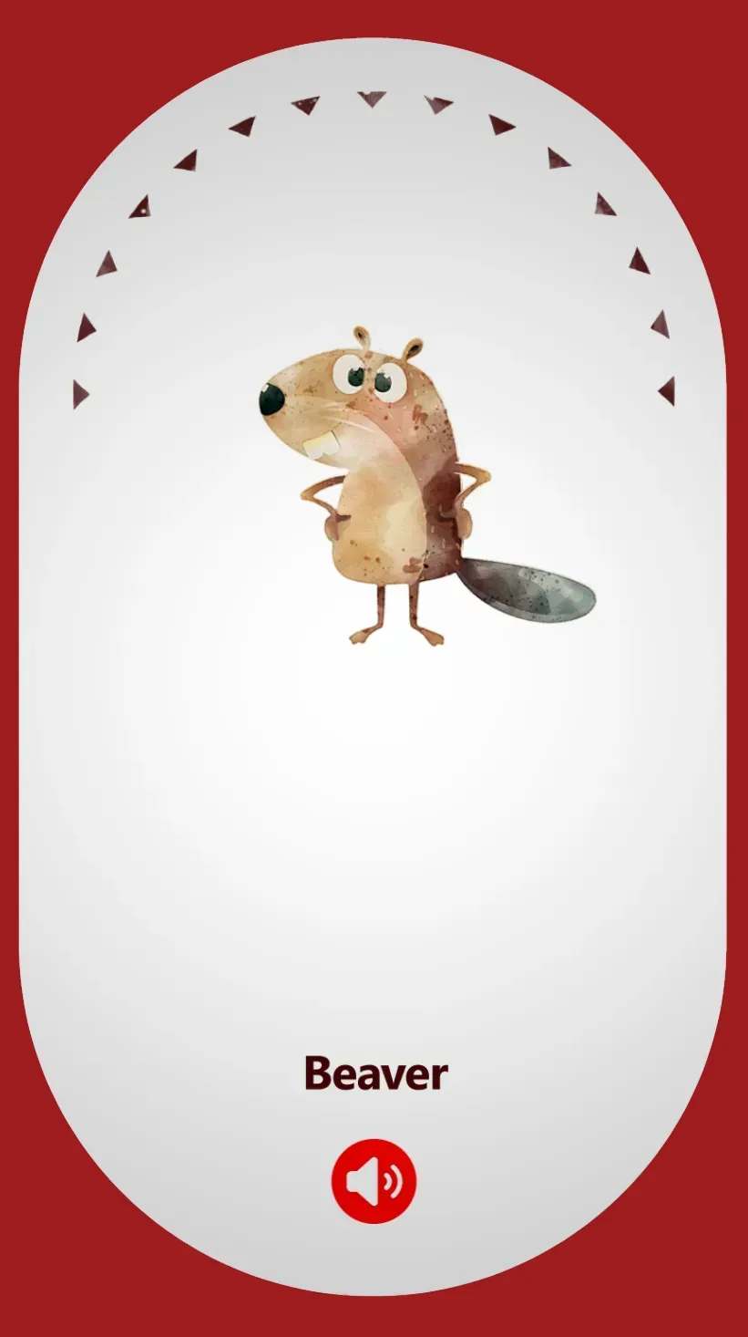 Beaver