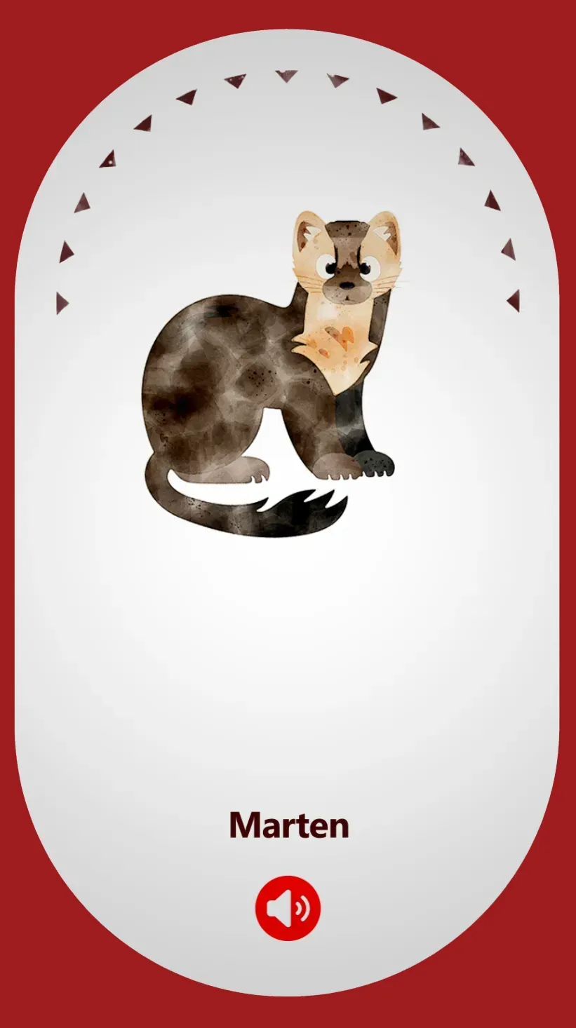 Marten