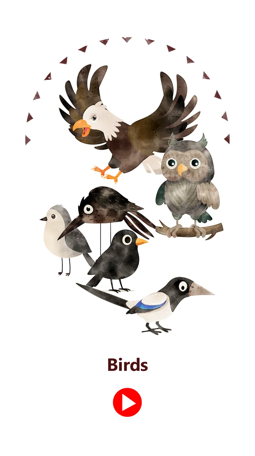 Birds