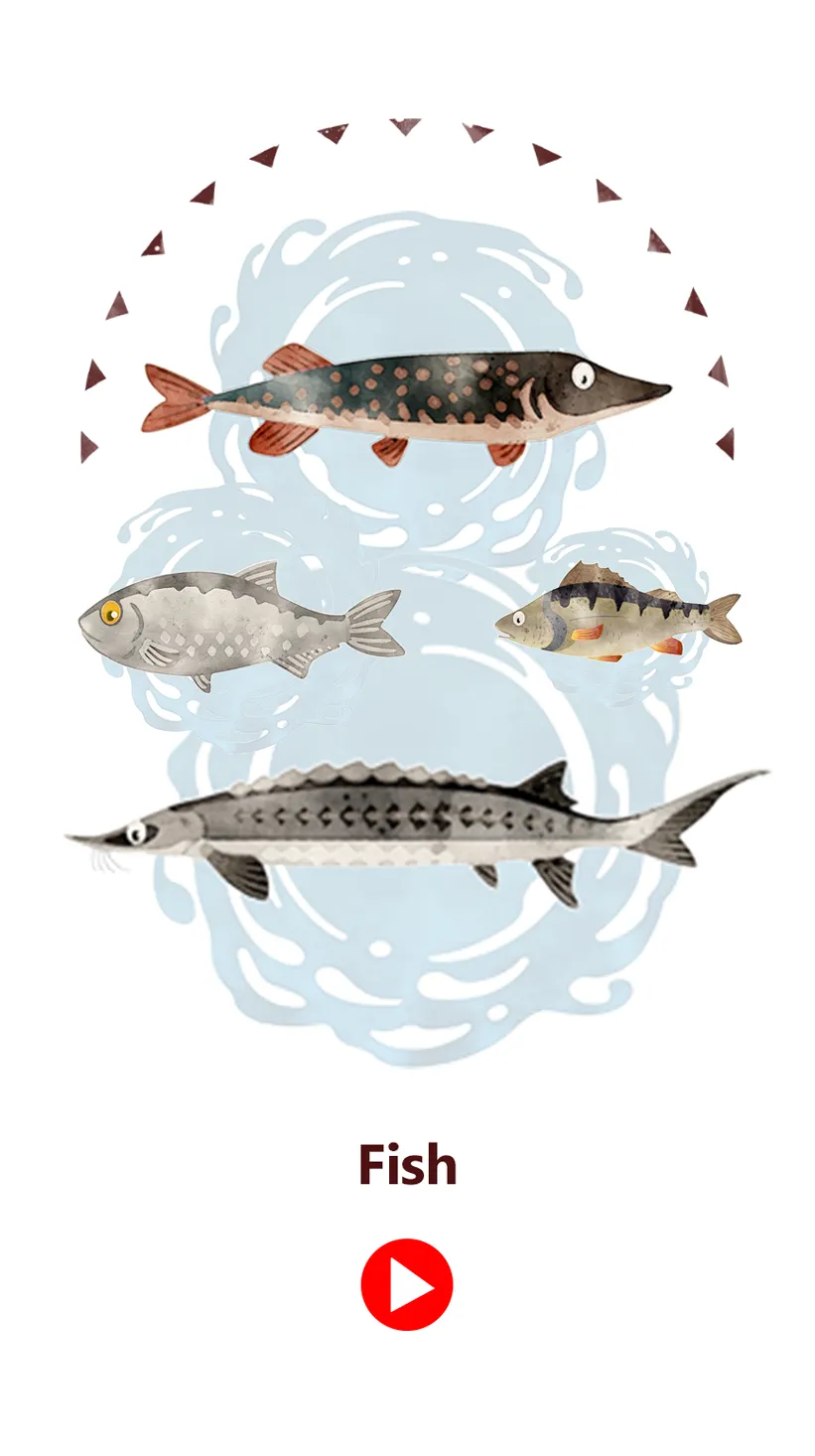 Fish