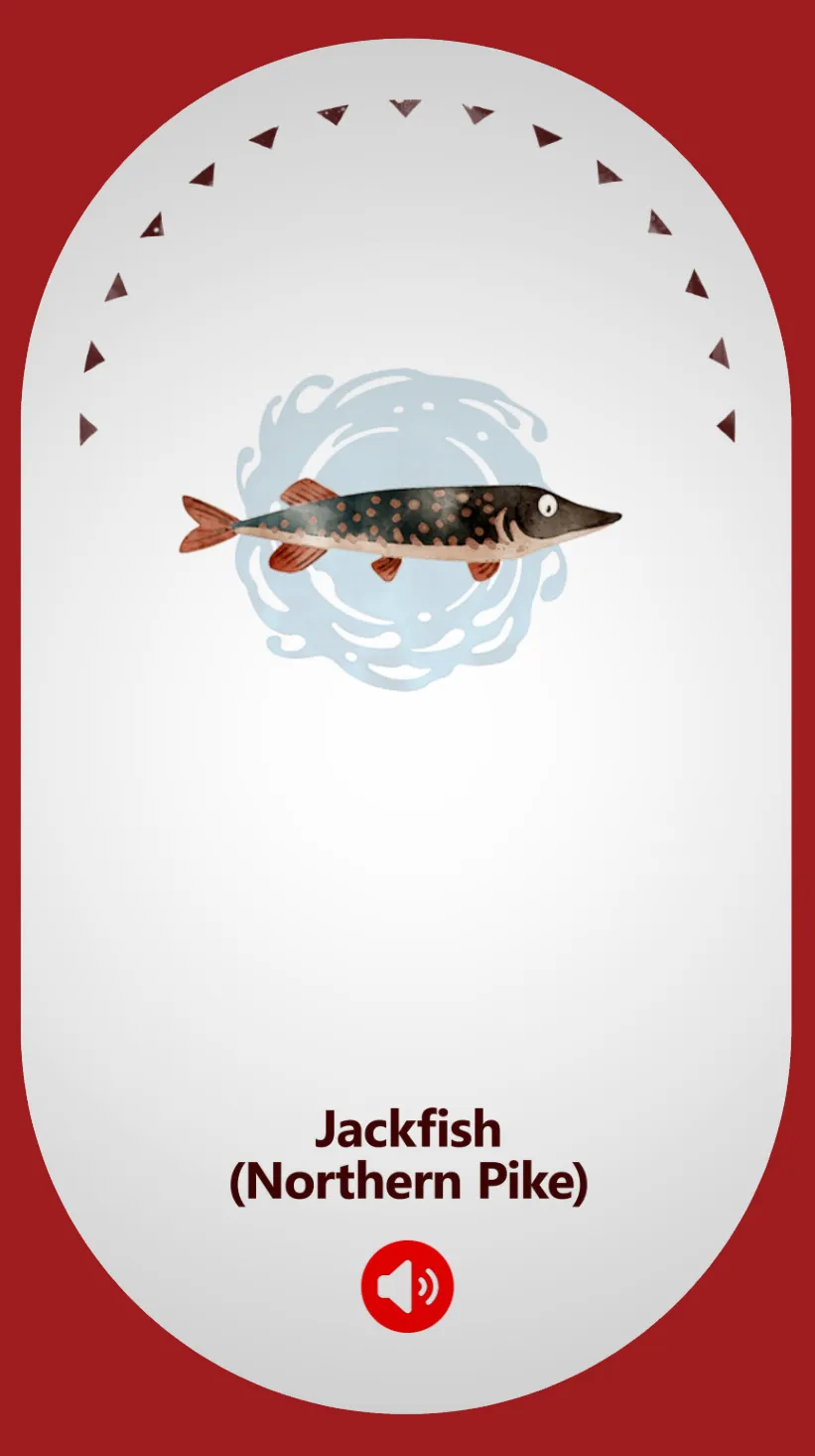 Northern Pike