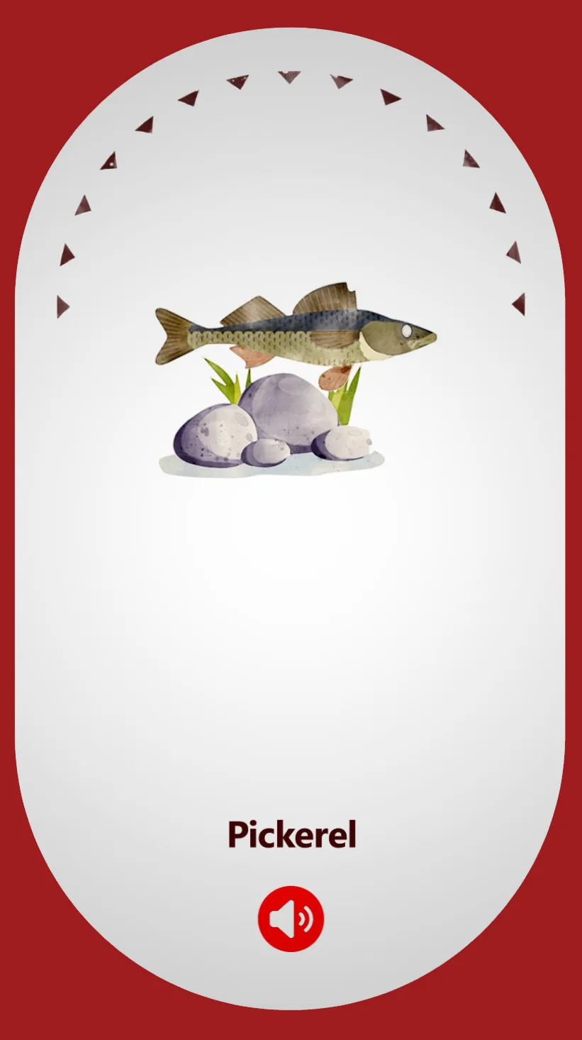 Pickerel