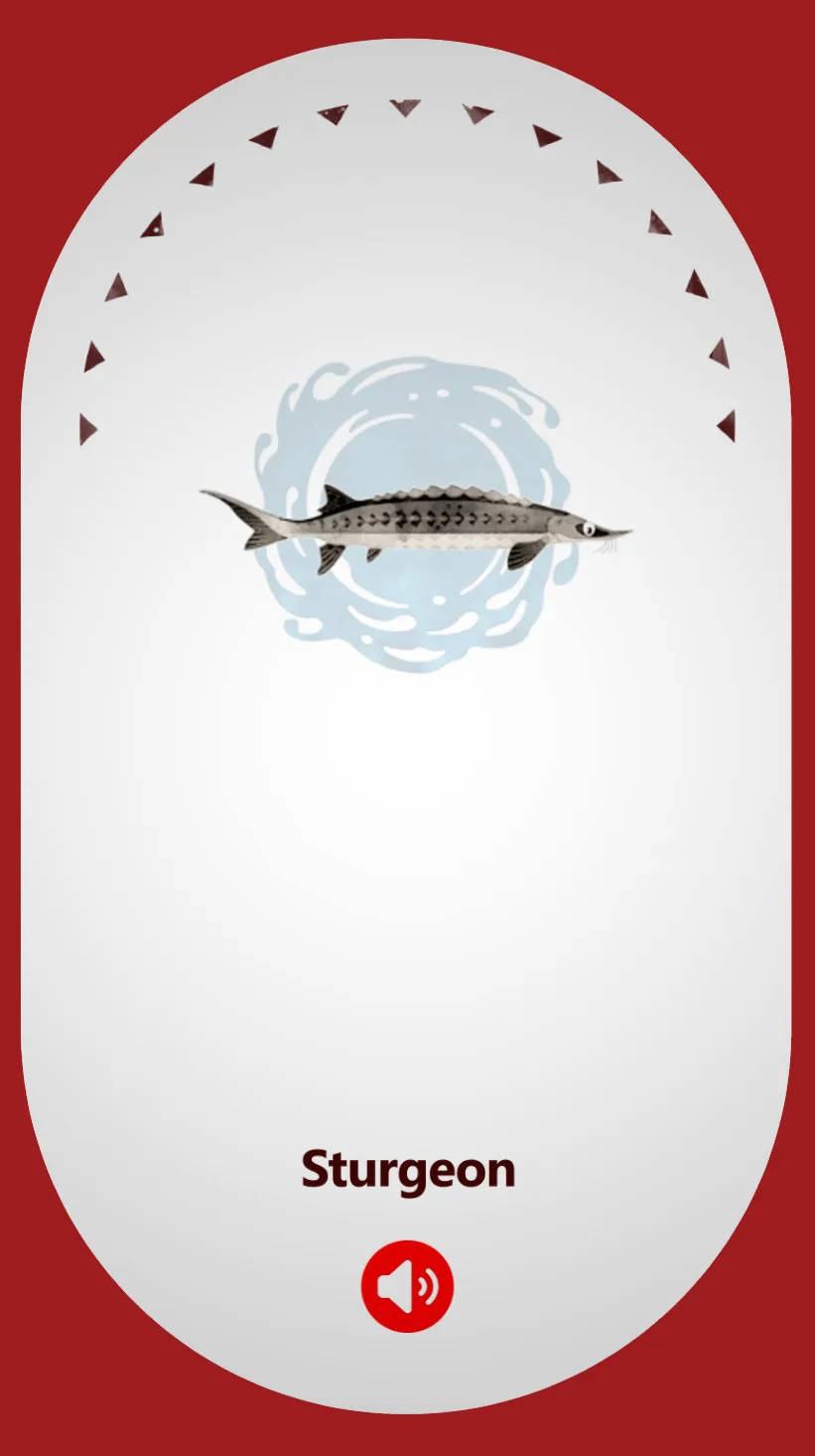 Sturgeon
