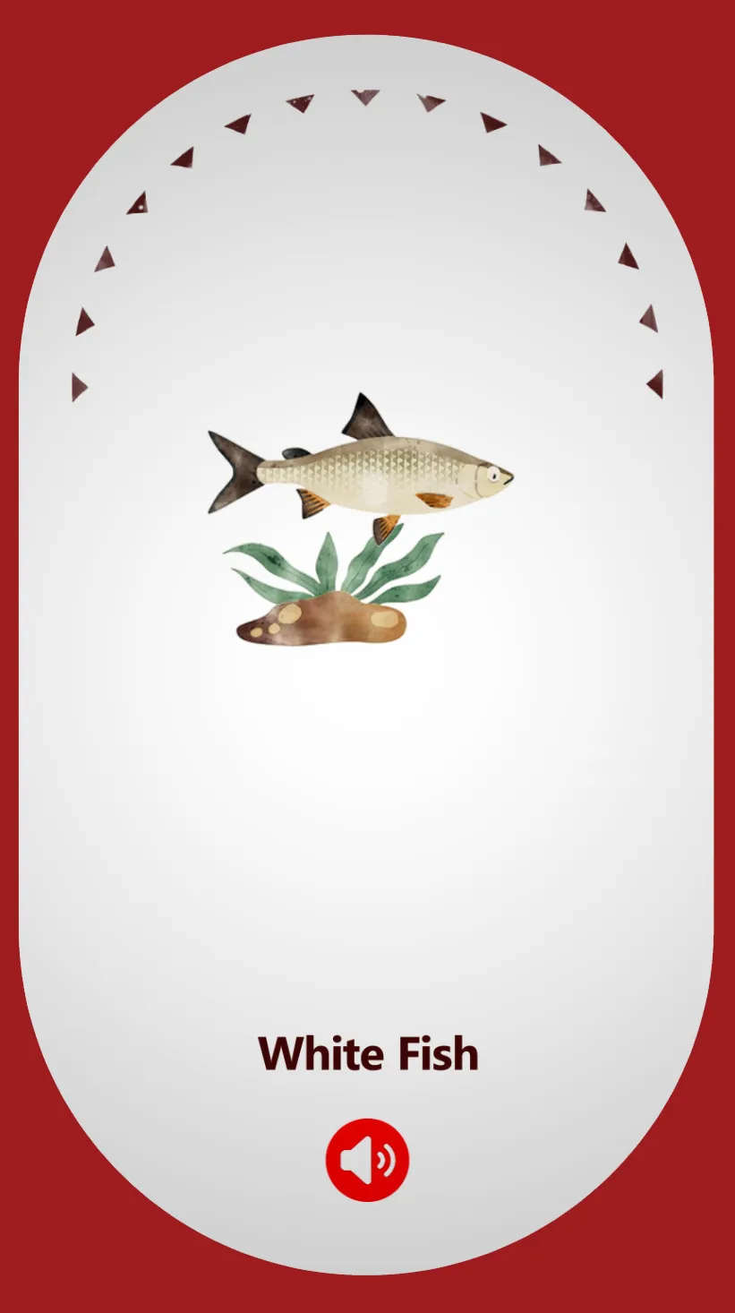 White Fish