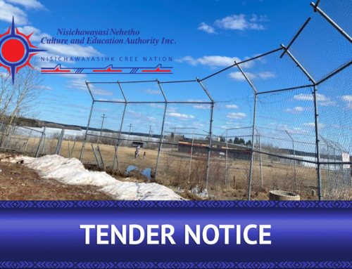 Tender Notice for Ron Wood Memorial Recreation Field – Phase 1