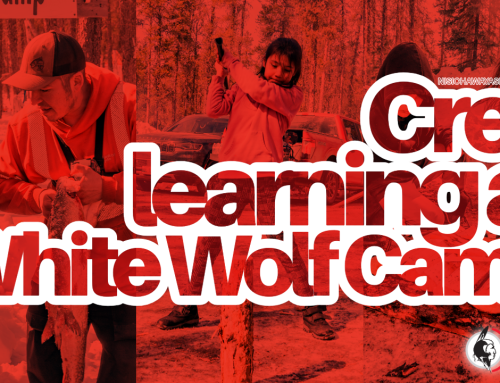 Youth Immerse in  Cree Culture at White Wolf Camp